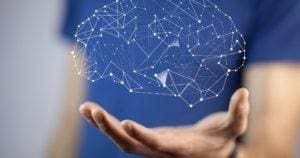 Neuroscience Updates And Neuroplasticity A brain outline floating above a hand