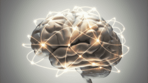 Neuroscience Updates 82 3D model of human brain with glowing neural connections showing neuroplasticity in action