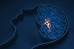 Neuroscience Updates And Neuroplasticity Rewiring the brain for success