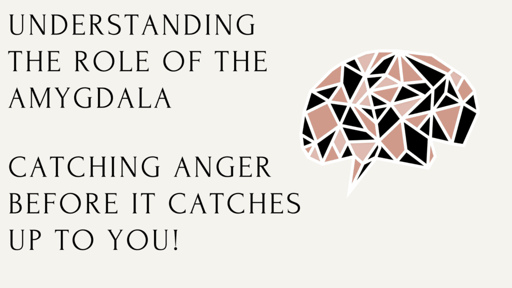 Text about understanding the amygdala's role in catching anger, with abstract brain illustration.