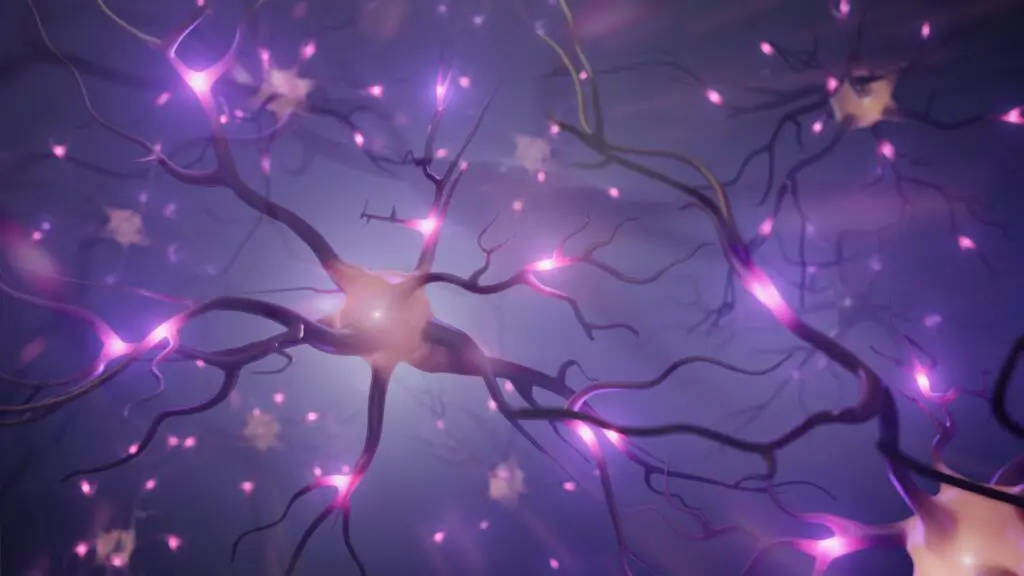 3D rendering of neurons glowing with purple light, visually illustrating behavioral neuroscience and brain connectivity.