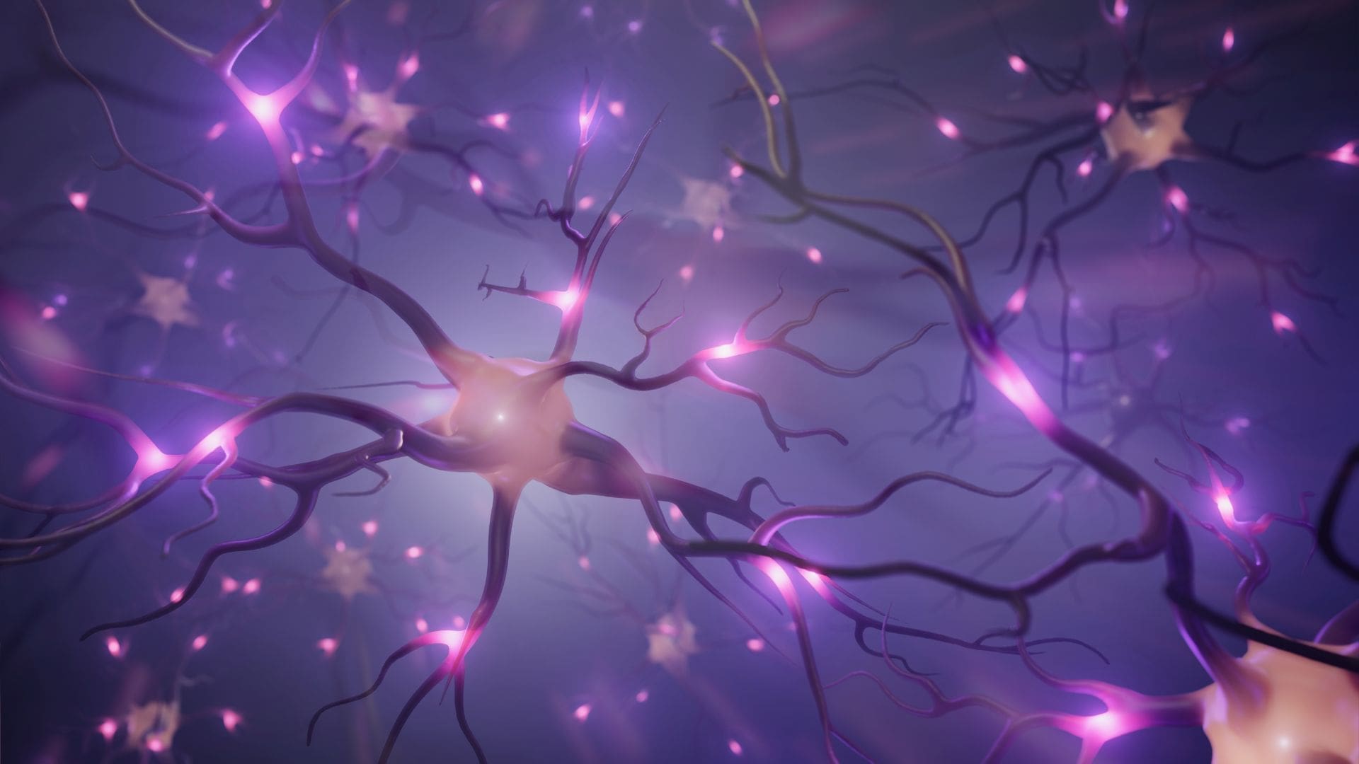 3D rendering of neurons glowing with purple light, visually illustrating behavioral neuroscience and brain connectivity.