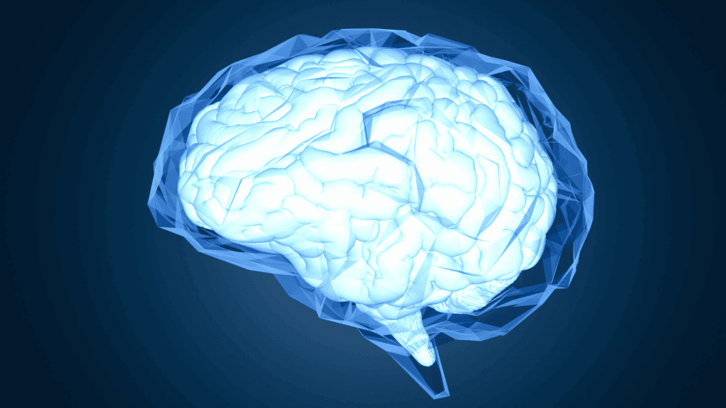 3D digital rendering of the human brain highlighting the Prefrontal Cortex in a glowing blue design.
