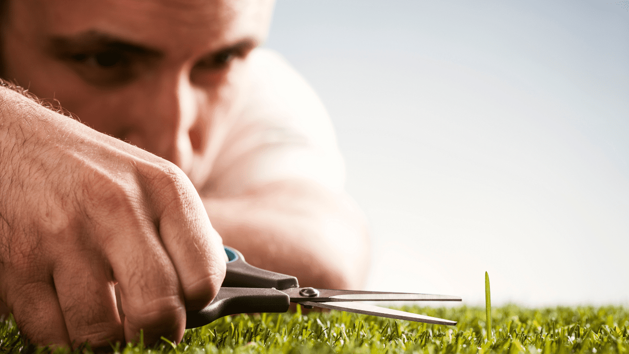 A man cutting a single piece if grass with a scissor who is suffering from Perfectionism Maladaptive Perfectionism Non-Perfectionism