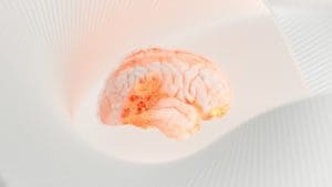 In The Press Close-up of a human brain representing neuroscience-driven coaching, brain-based coaching, and the connection between neuroplasticity and mental health.