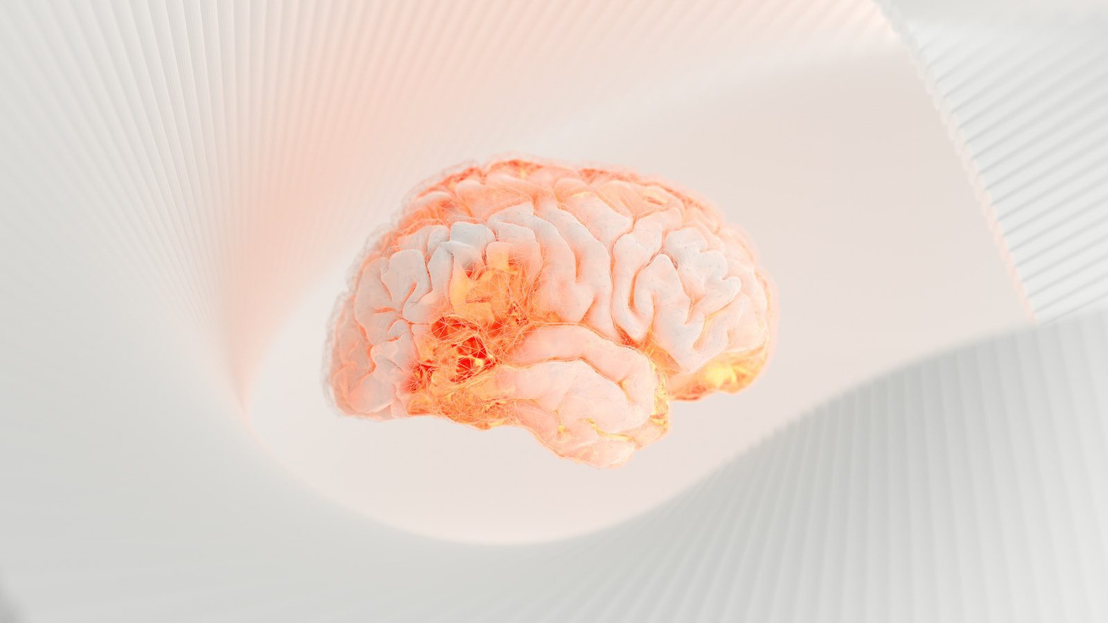 Close-up of a human brain representing neuroscience-driven coaching, brain-based coaching, and the connection between neuroplasticity and mental health.