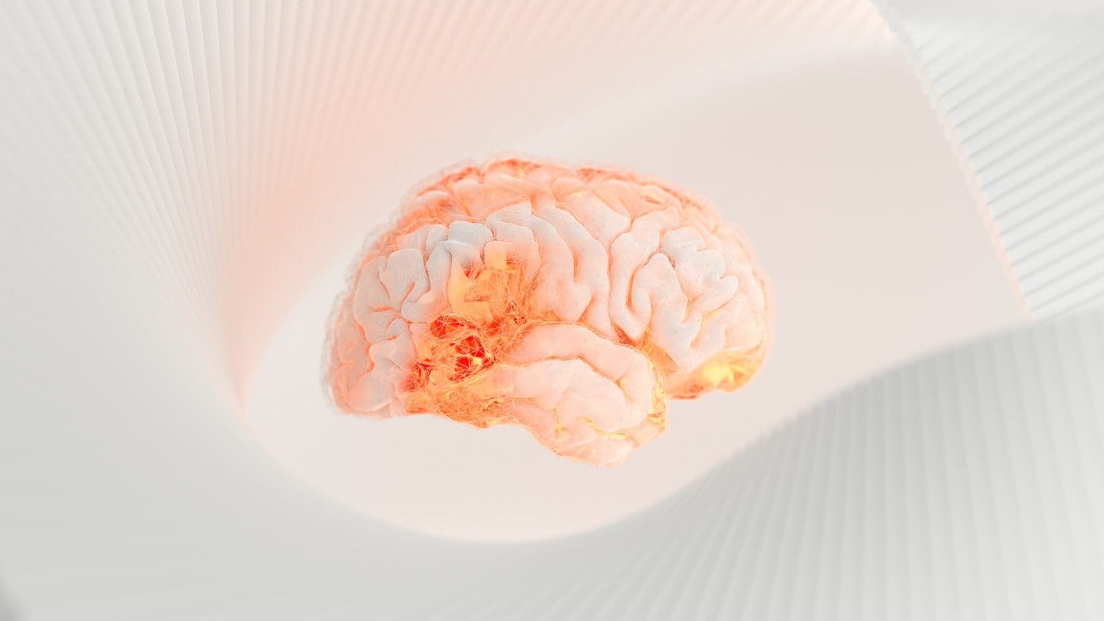 Close-up of a human brain representing neuroscience-driven coaching, brain-based coaching, and the connection between neuroplasticity and mental health.