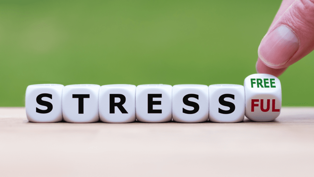 7 Neuroscience-Based Techniques to Master Stress Management and Personal Growth 1 Concept of stress management with stress-free and stressful dice