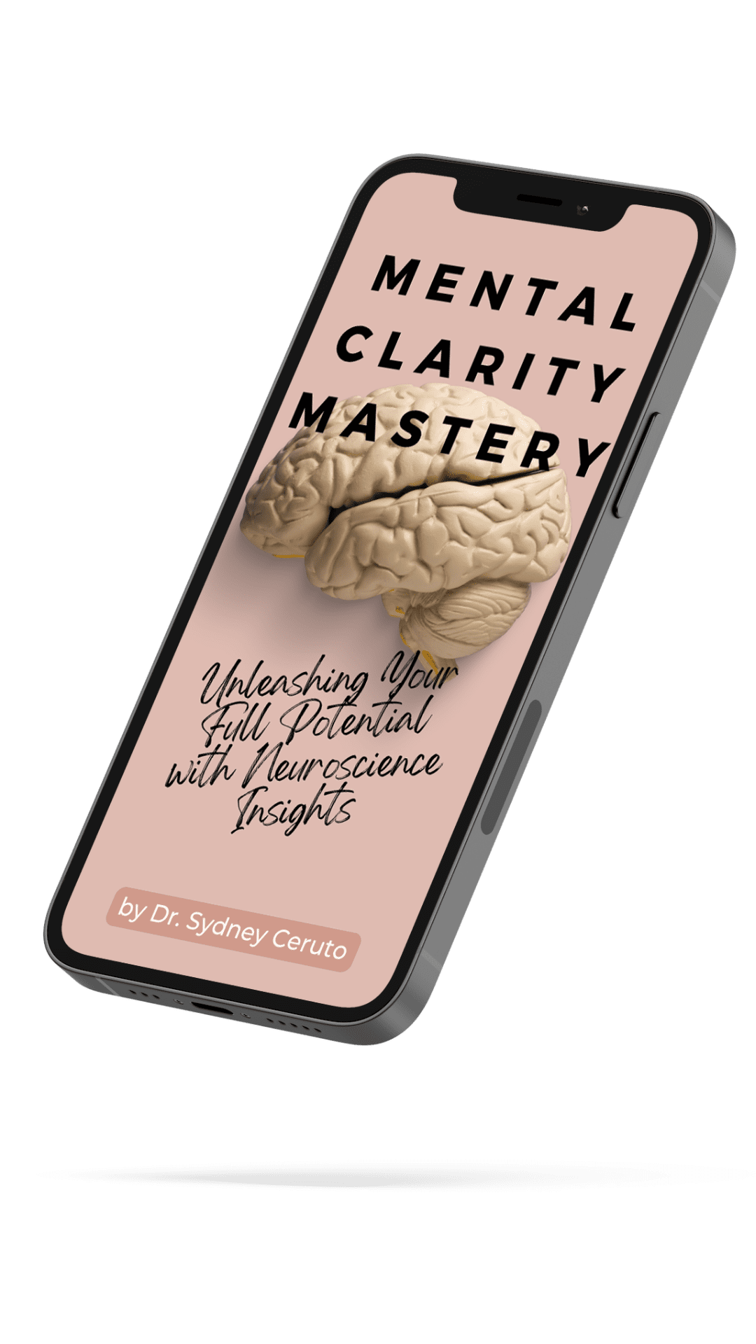 Neuroscience-Based Life Coaching By Dr. Sydney Ceruto Mental clarity mastery e book by dr. Sydney ceruto