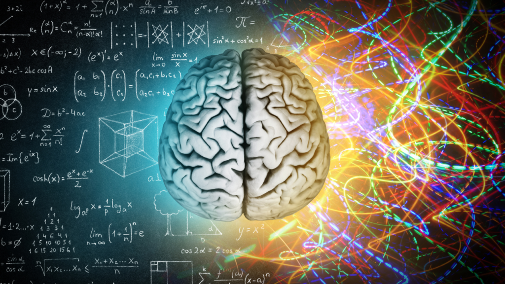 Gray brain illustration with vibrant colors representing the functions of the four major brain regions