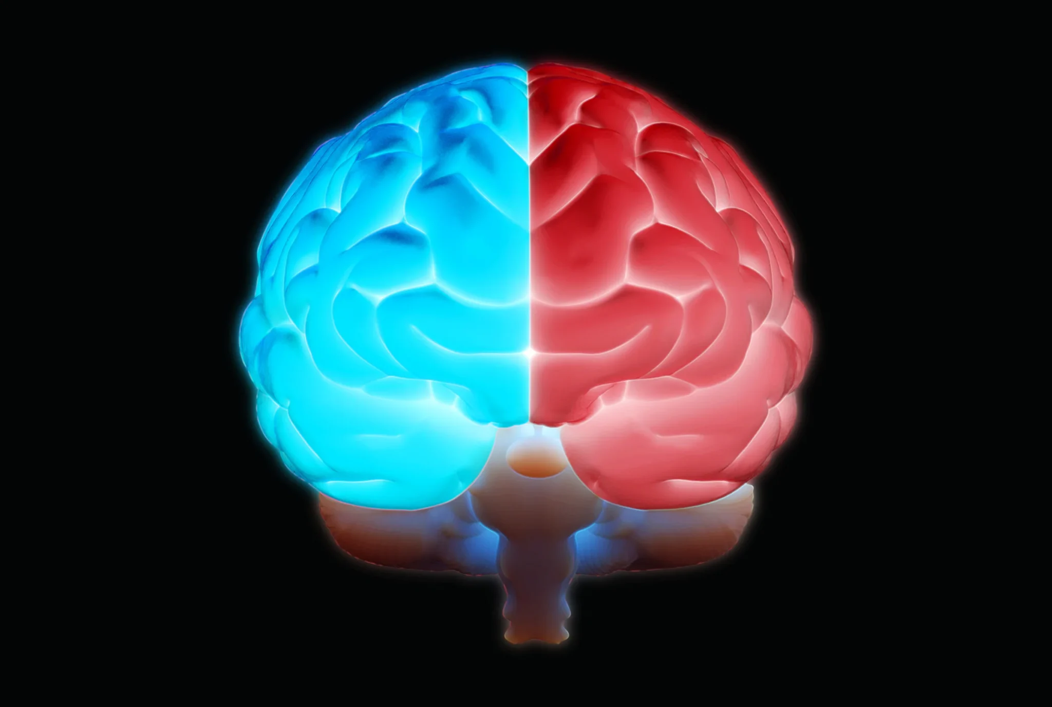 Brain Regions and Cognitive Biases