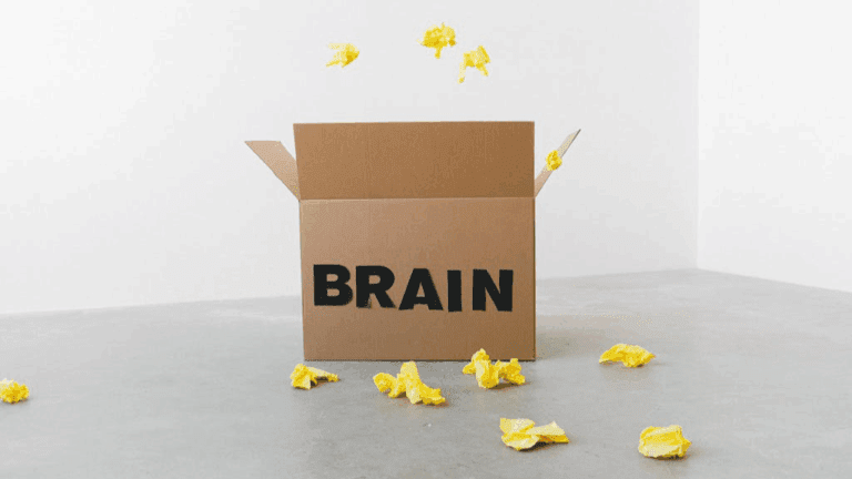 Cognitive Distortions in Memory and Perception,