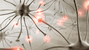 Neural activity visualization representing Brain Chemicals During Sex.