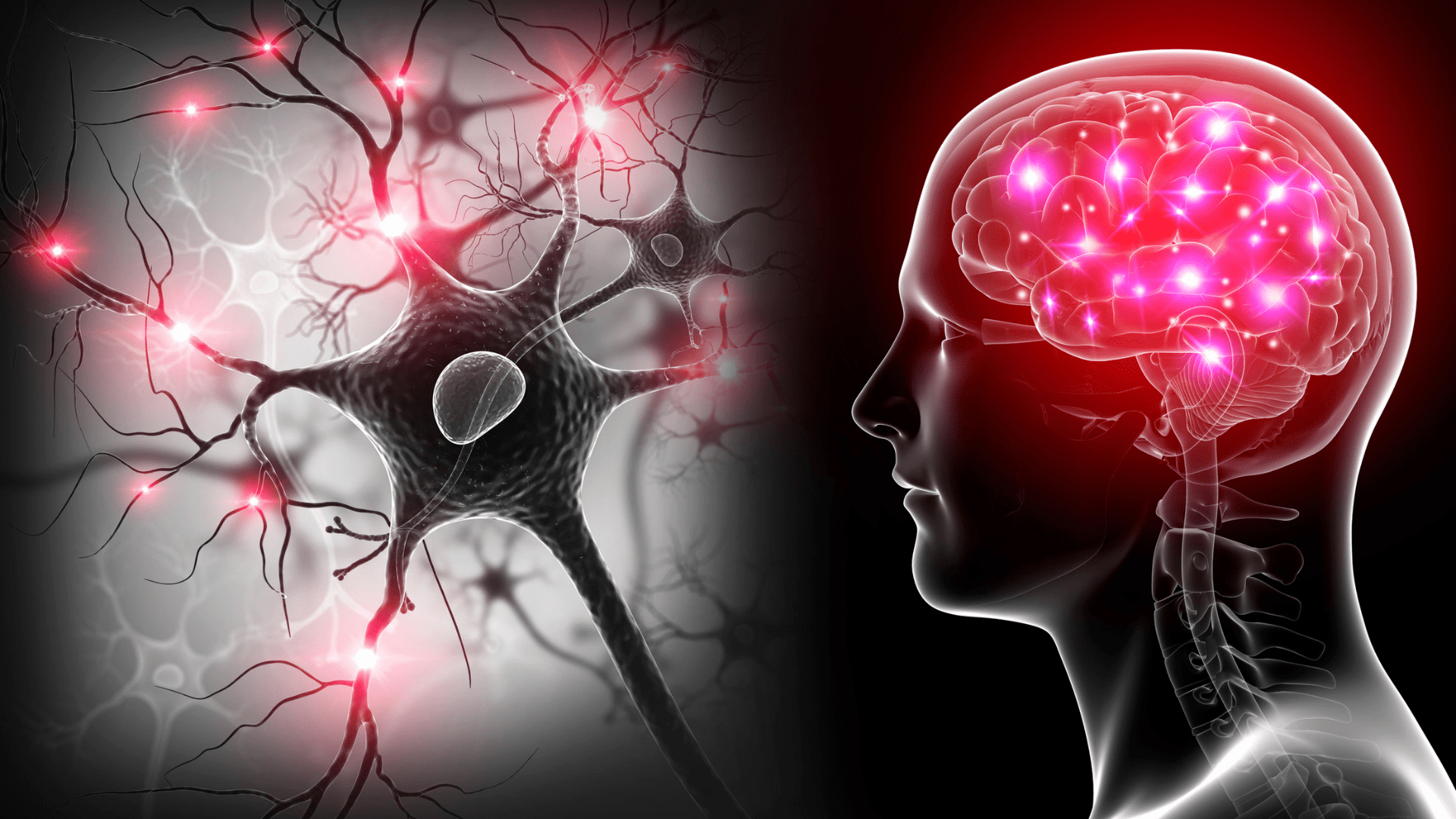 Neurogenesis illustrated with active brain neurons firing