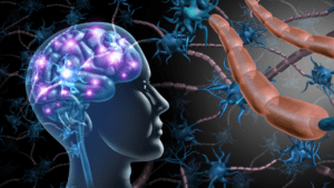 Brain activity illustration highlighting neuroplasticity stress reduction techniques