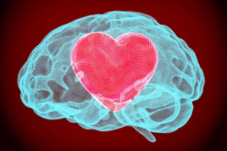 Neuroscience in Love Biases