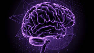 Brain activity illustration showcasing neuroplasticity and mental wellness concepts