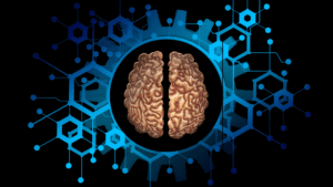 Neuroscience Updates 43 Brain illustration showing the process of personal change and transformation.