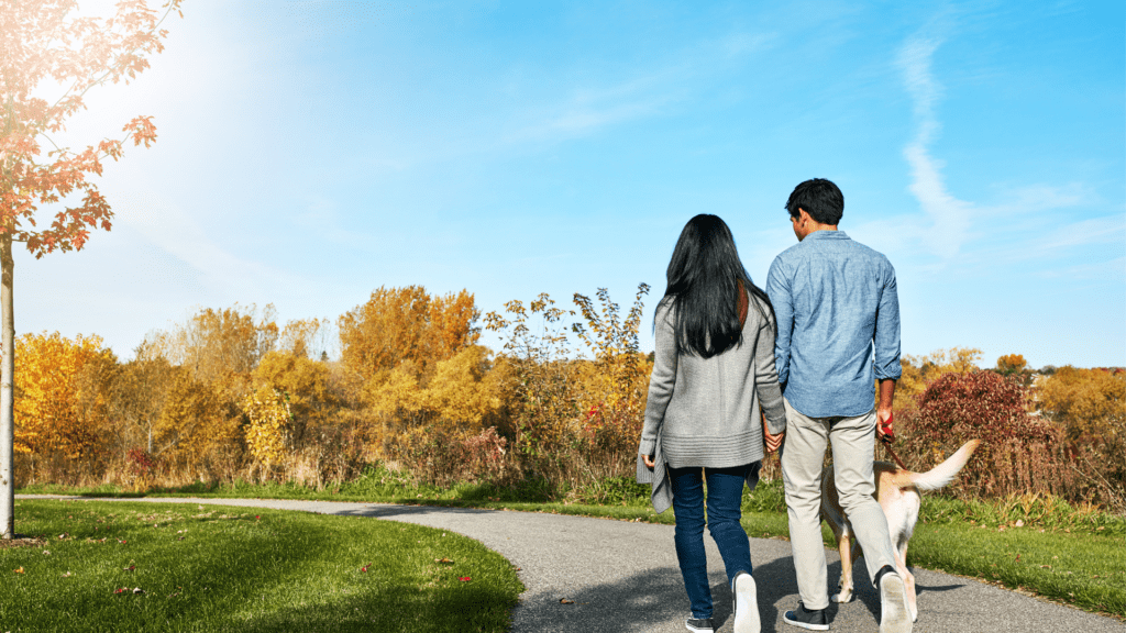 Couple walking their dog in a park during autumn, building healthy relationships.