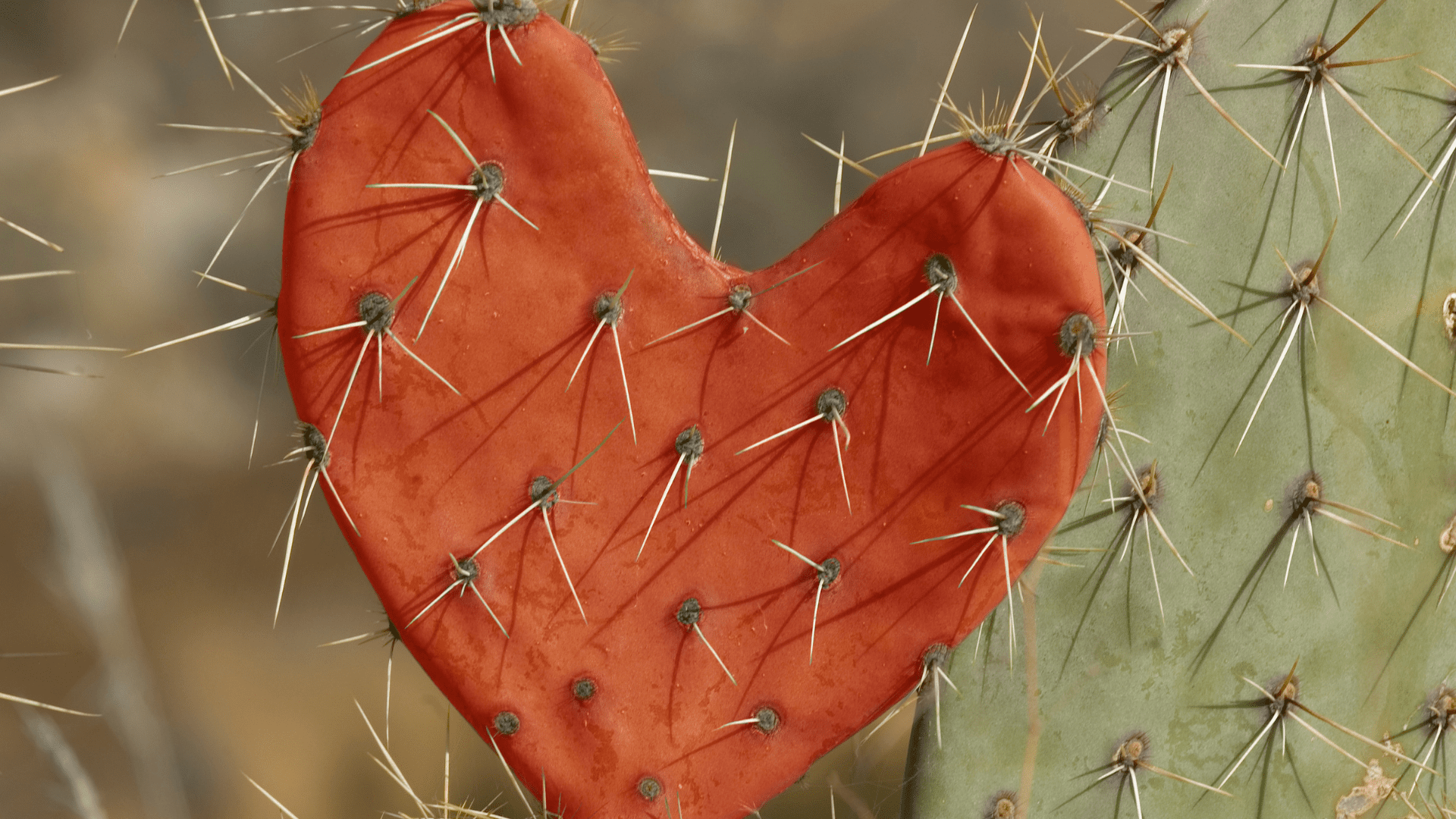 a heart shaped cactus with thorns depicting How to Stop Saying Hurtful Things in relationships