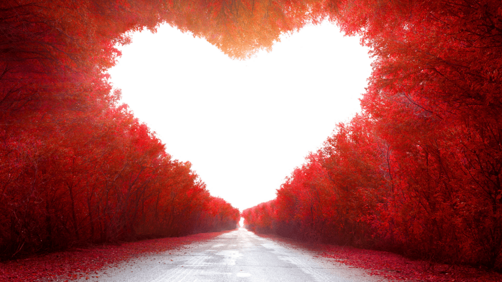 a road with trees in the shape of a heart describing love