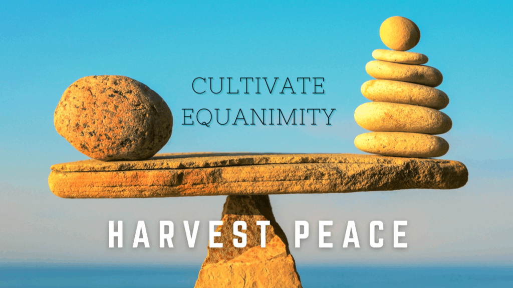 Balanced rocks illustrating the concept of equanimity, with text 'Cultivate Equanimity, Harvest Peace'