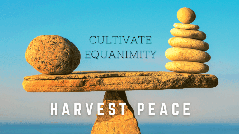 Balanced rocks illustrating the concept of equanimity, with text 'Cultivate Equanimity, Harvest Peace'