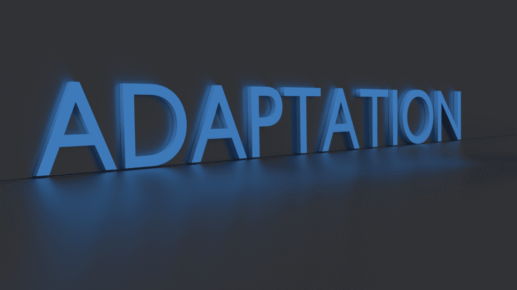 The word Adaptation in 3D, highlighting the importance of adaptability. 