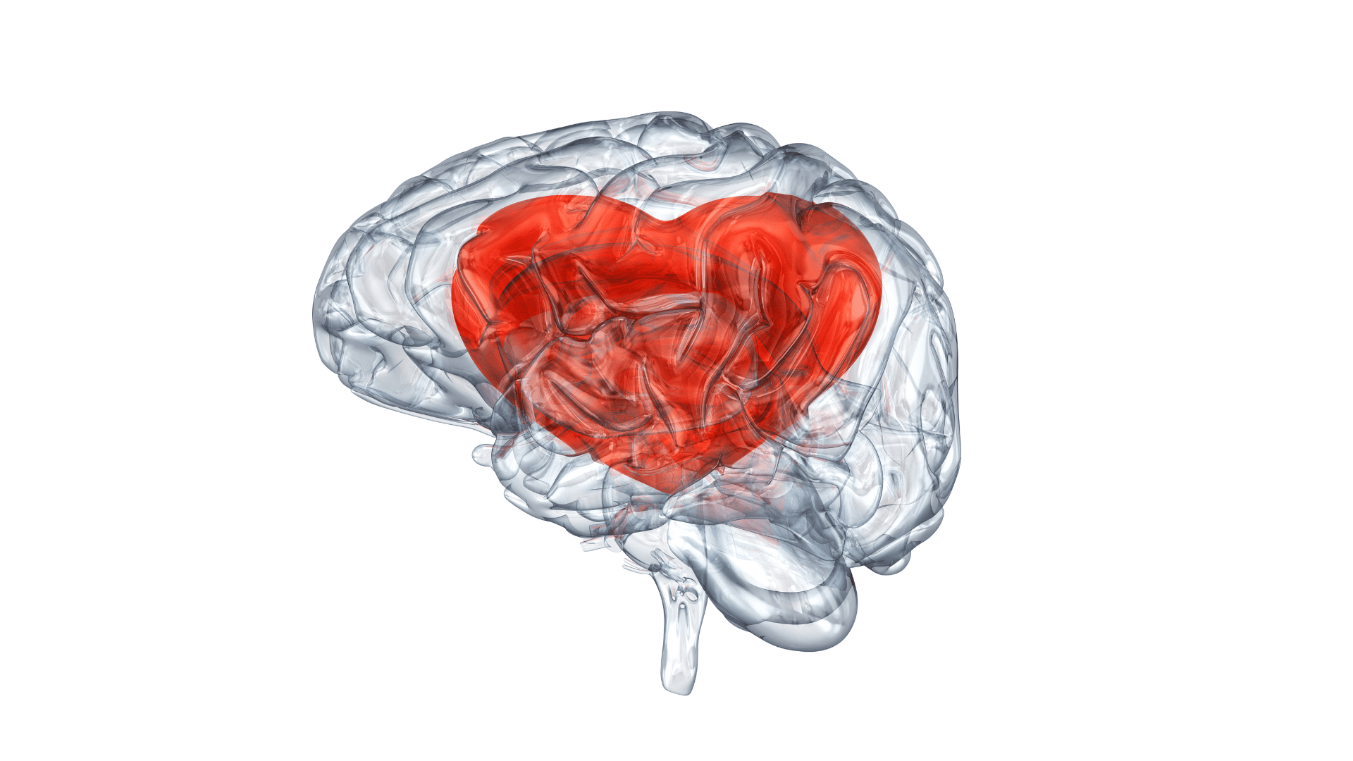 Transparent brain illustration with a red heart-shaped area, symbolizing emotional pain within the brain.