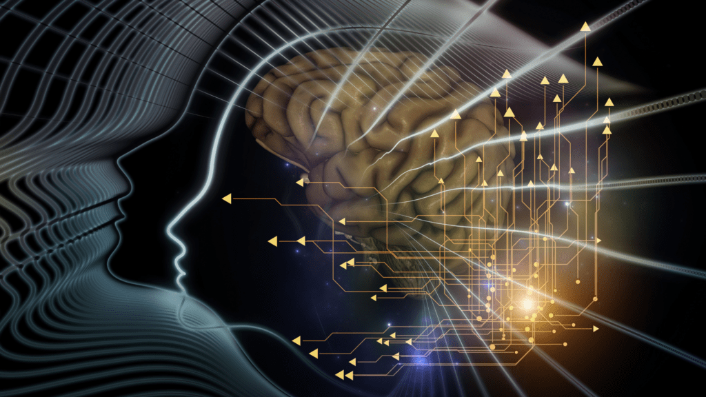 A glowing brain with circuit-like lines representing neural connections and information flow.
