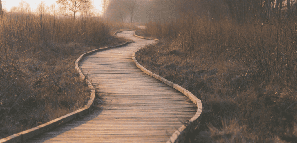 A winding wooden pathway in nature symbolizing the journey of personal growth through mental health coaching.

