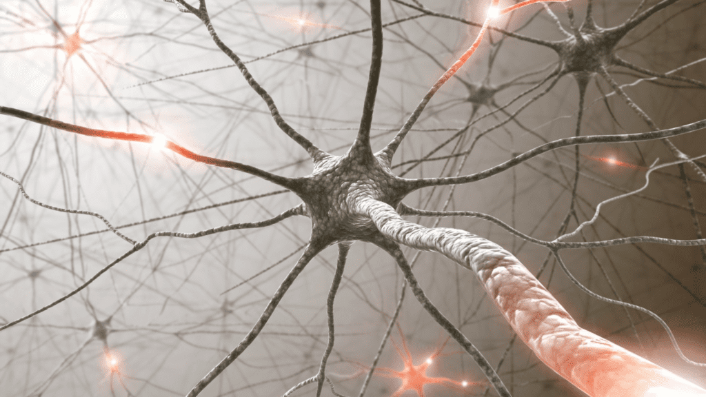 The Extraordinary Mind-Body Connection: Master Your Health Through Neuroscience 2 Neural network visualization showing active synapses in mind-brain connection.