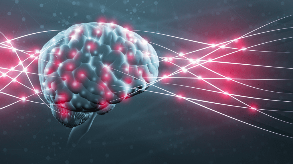 A digital visualization of a brain with neural connections glowing in red, representing cognitive activity.