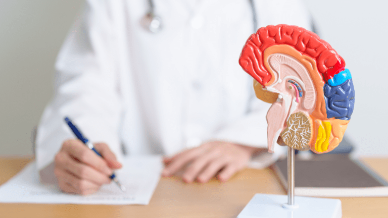 A doctor examining a detailed brain model while taking notes, illustrating neuroscience-based cognitive health strategies.