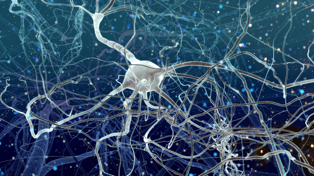  3D visualization of neural pathways in the brain, representing the neuroscience of hoarding disorder.

