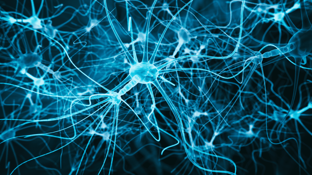 A close-up of illuminated neural connections in the brain, representing neuroplasticity and cognitive flexibility in professional development.