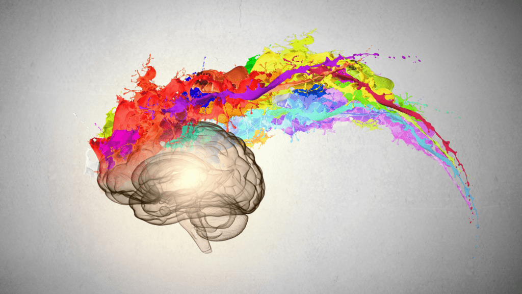 A detailed illustration of a brain with neural pathways represented by colorful splashes, symbolizing how overgeneralization affects cognitive processing and neural plasticity.
