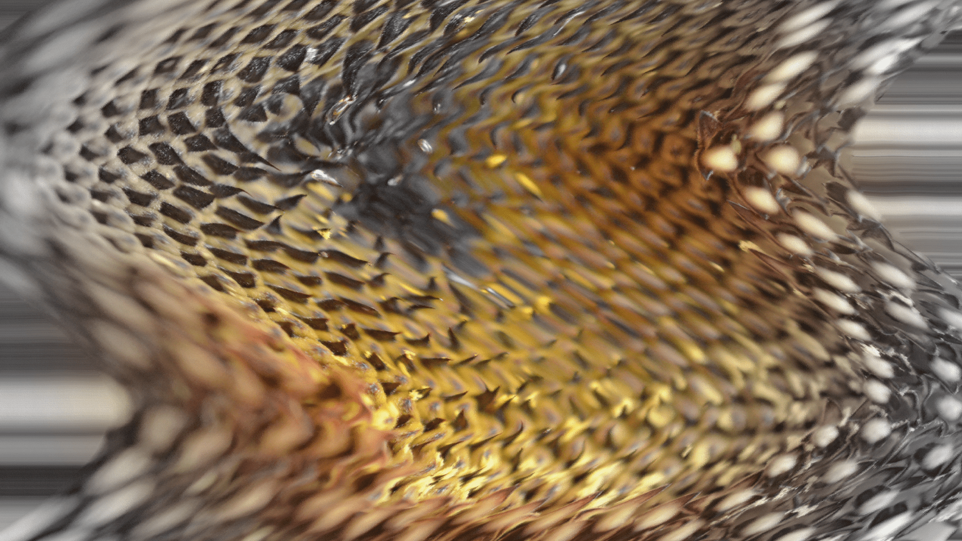 Examples Of Overgeneralization: Transform Your Thinking 2025