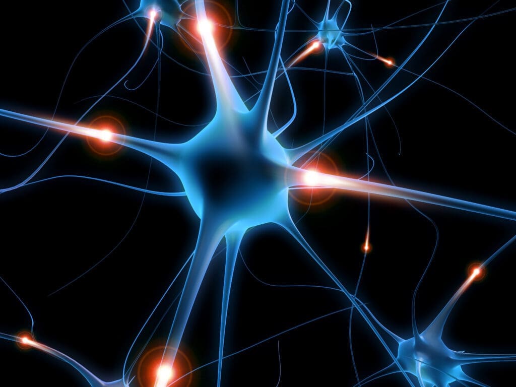 A glowing illustration of neurons and synaptic connections representing brain activity and neuroplasticity.


