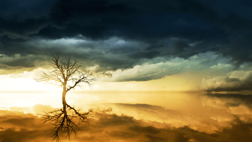 A lone tree reflected in water under dark storm clouds, symbolizing inner turmoil and emotional storms.

