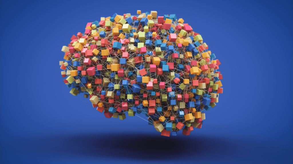 A neuroscience representation of a brain composed of interconnected cubes, symbolizing cognitive processing and calculated risk taking in modern business.
