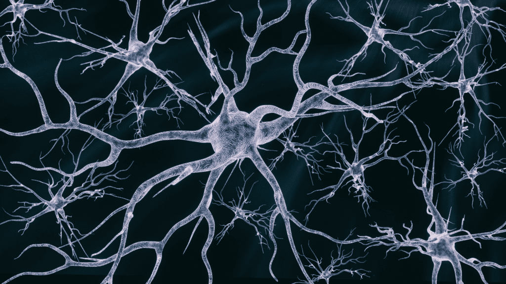 Neural connections representing the neuroscience of feeling disconnected and the impact of autopilot mode on the brain.
