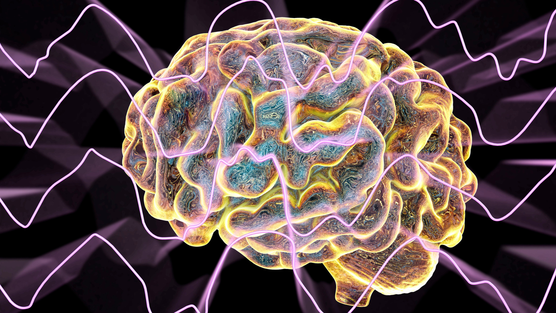 "Illustration of a glowing human brain with neural pathways lighting up, symbolizing neuroplastic momentum and brain rewiring.