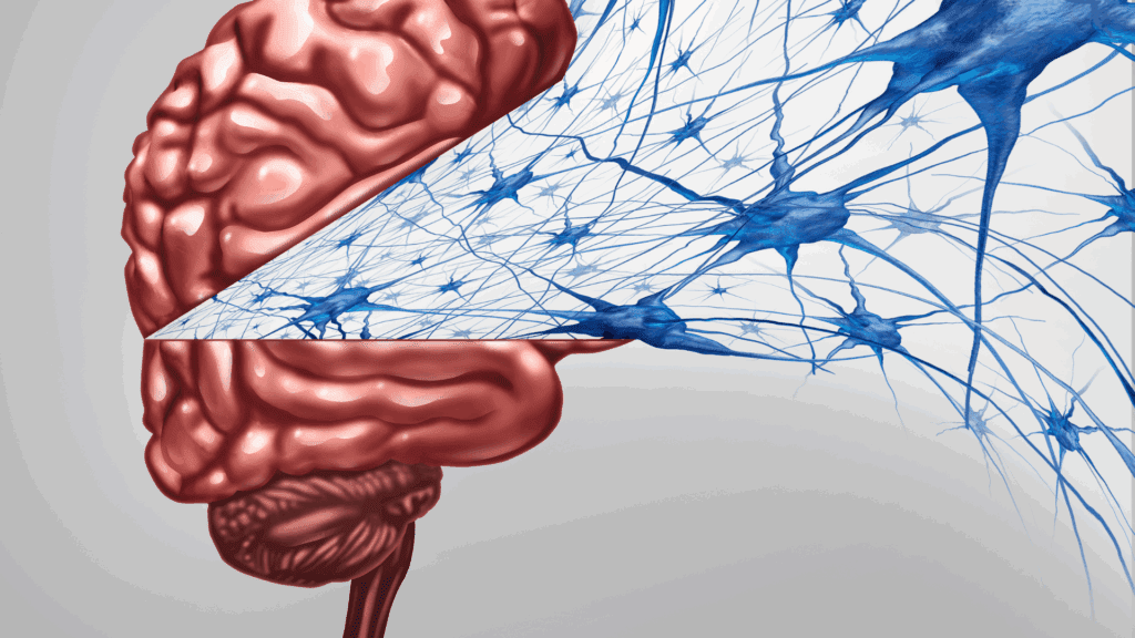 Image of a brain and neuron network connection depicting a dopamine addiction.
