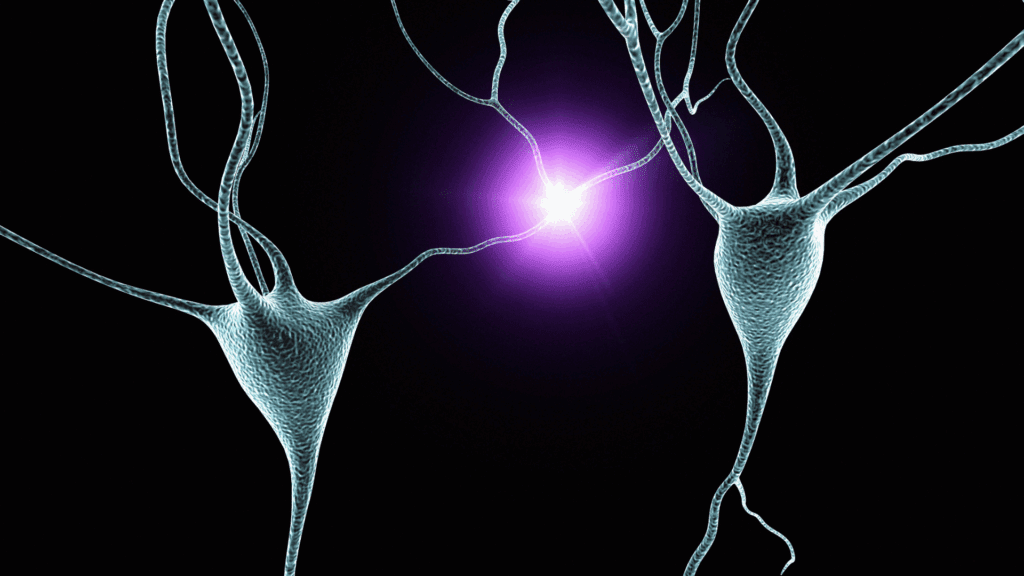 Neural synapses glowing, symbolizing the neuroscience behind hyper independence.





