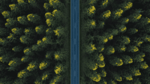 A straight road through a forest, viewed from above, symbolizing the clarity of taking the high roaad.