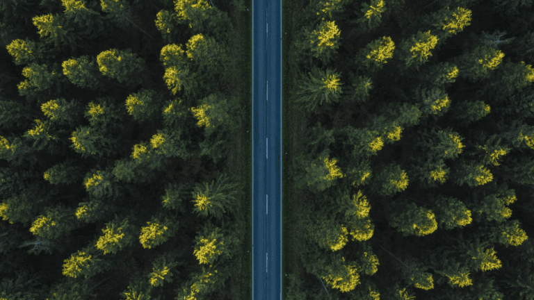 On the Blog 6 A straight road through a forest, viewed from above, symbolizing the clarity of taking the high roaad.