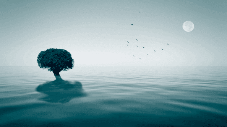 On the Blog 6 Solitary tree in calm water under the moonlight, symbolizing peace and relief when asking how do I stop a panic attack.