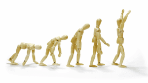 Wooden figures showing human evolution, symbolizing behavioral development in the neuroscience of contentiousness.