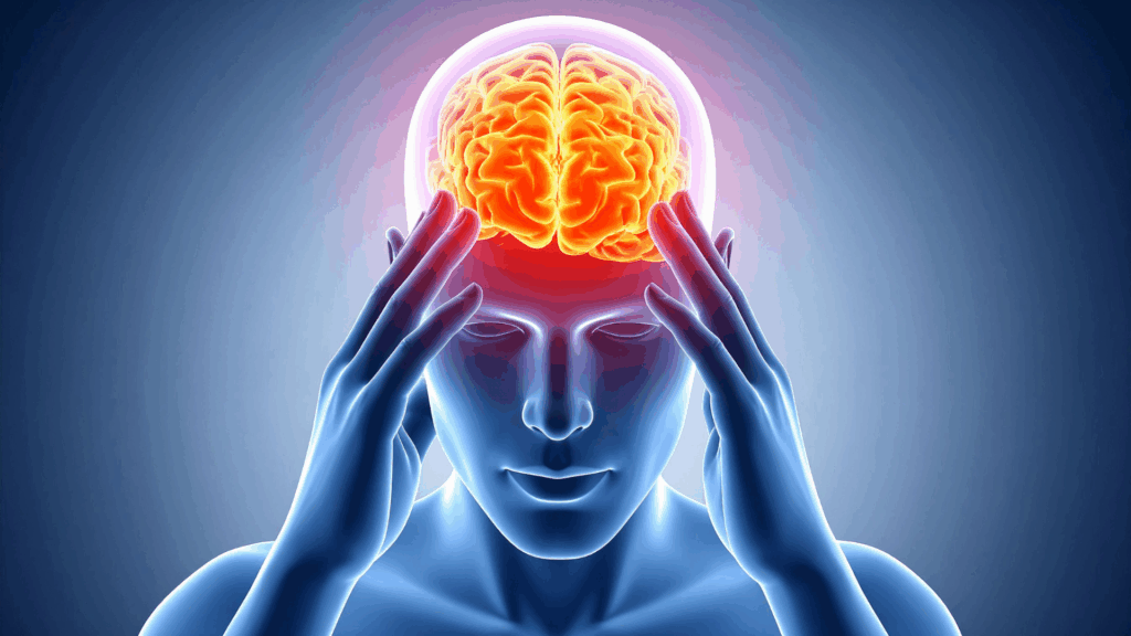 Anxiety Relief for High Performers: Overcome Fear 1 Brain imaging showing neural pathways related to anxiety and fear response management.